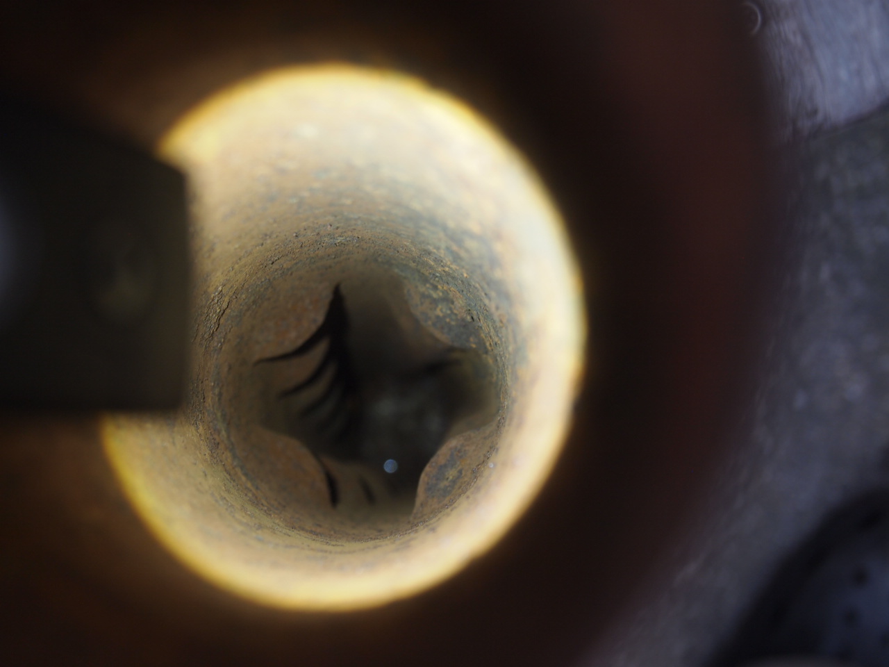 スーペリアフィッシュマフラー