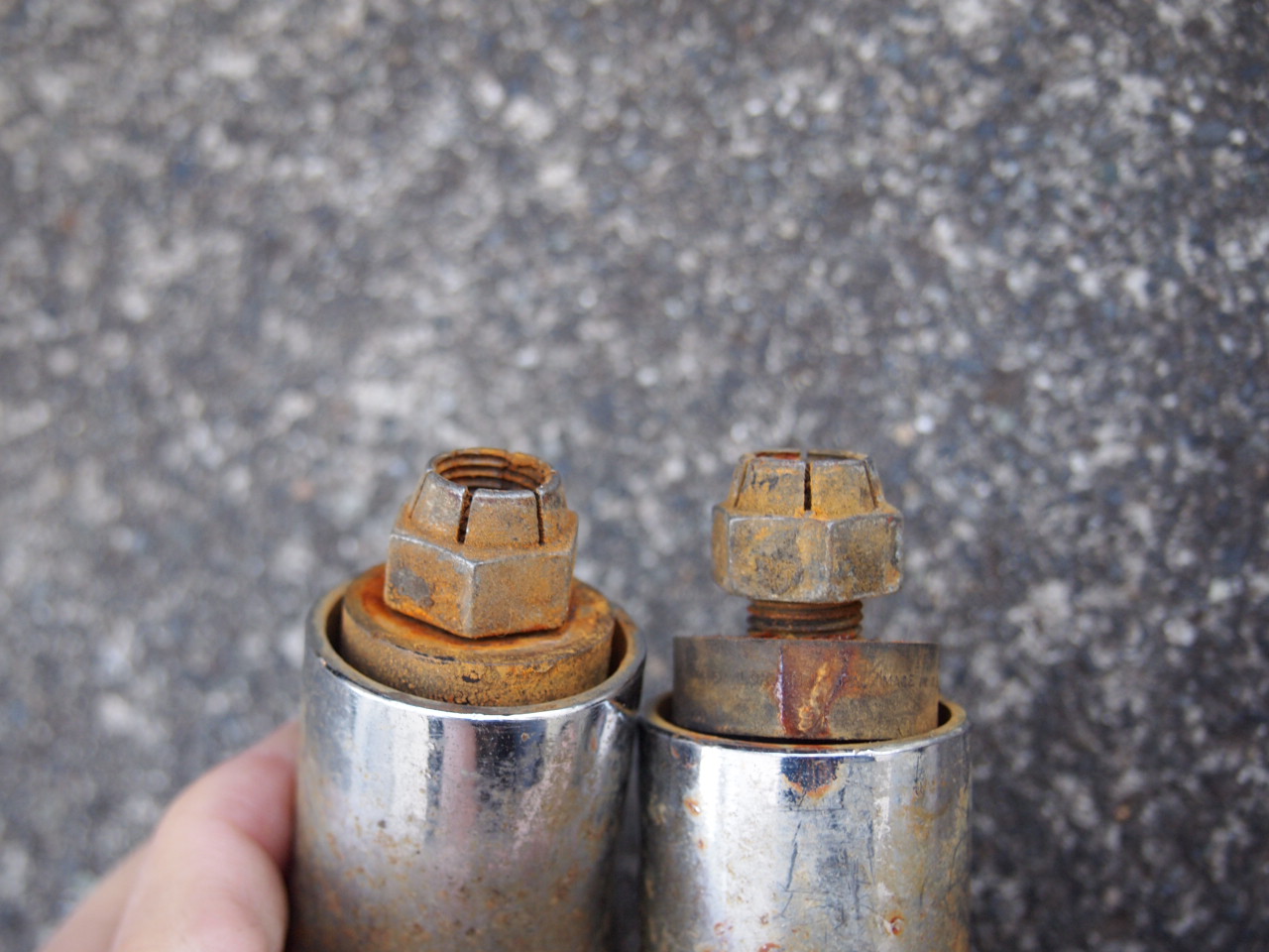 ハイドラライザー