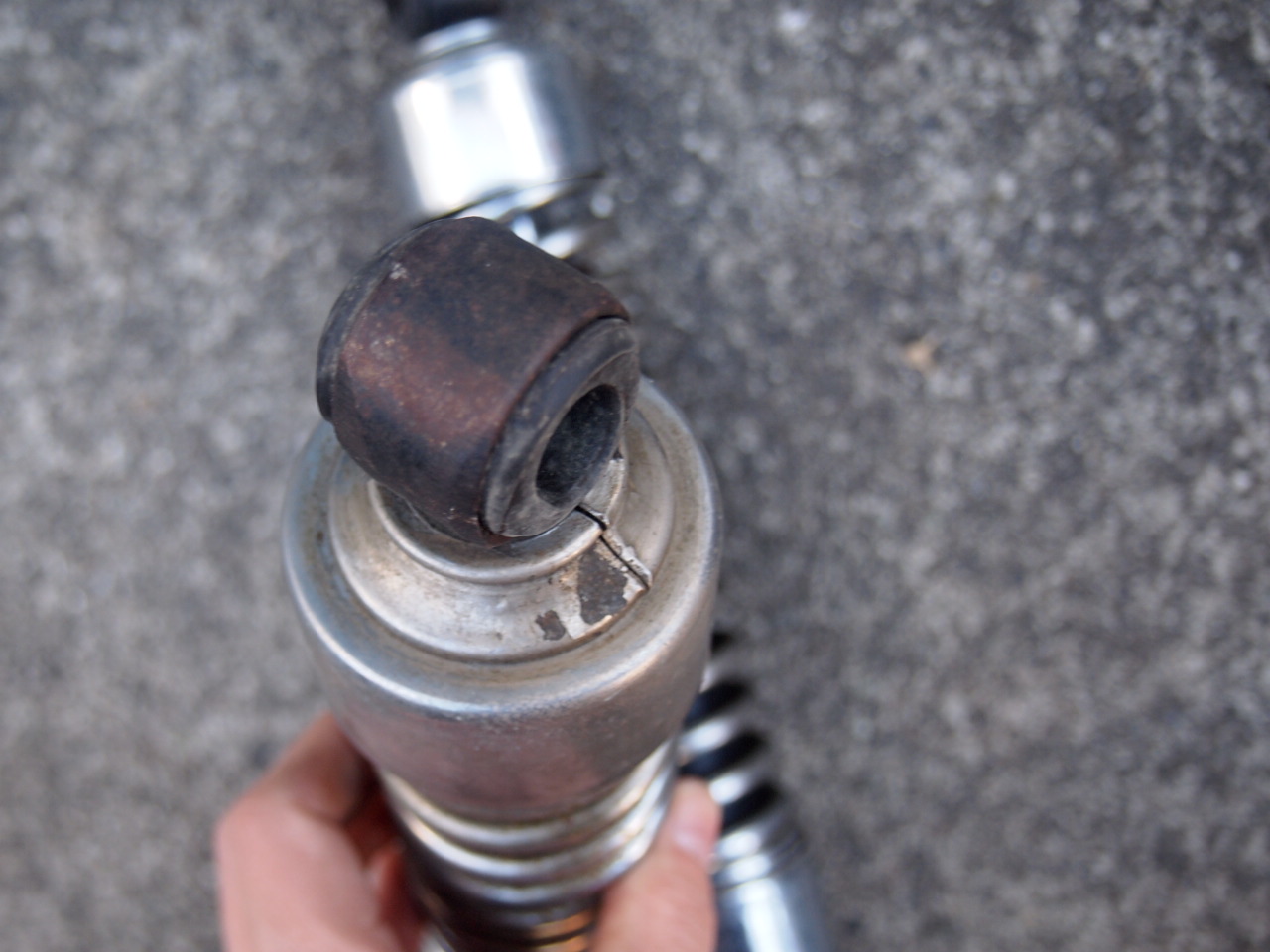 XLCH 14,5インチサス