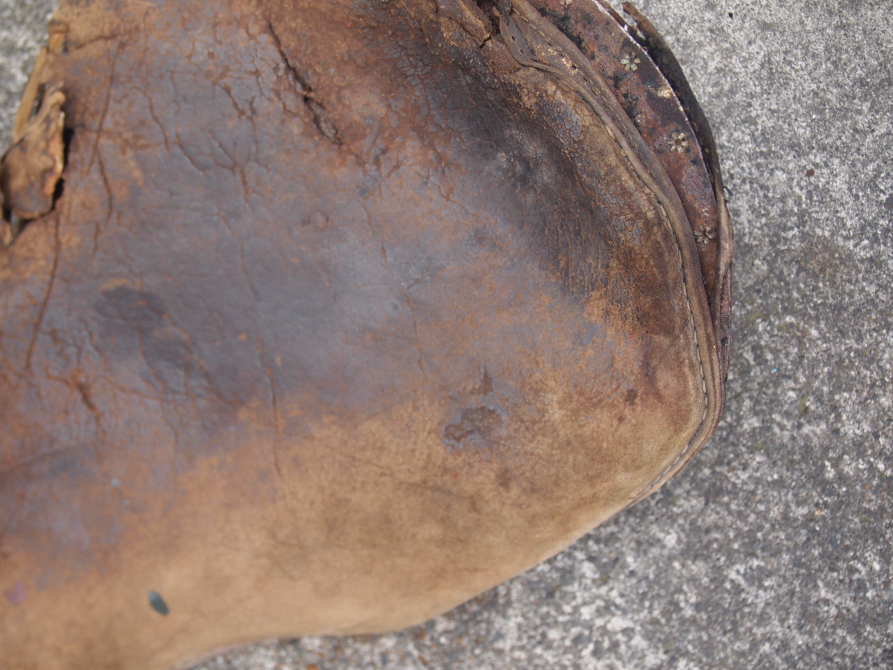 30’s　バディシート